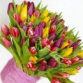 /products/kytica-farebnych-tulipanov/